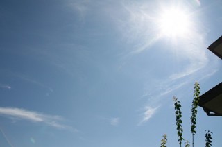 太陽の日差しが暑い